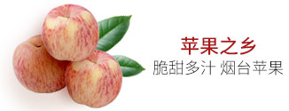 烟台苹果