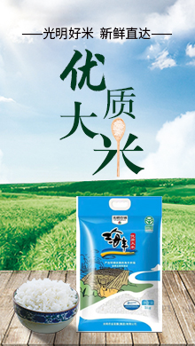 海丰大米