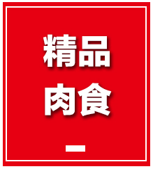 肉食