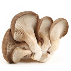 平菇370g-430g