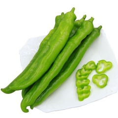尖椒450g-550g