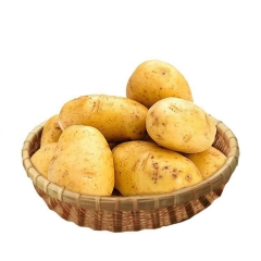 黄心土豆2斤±0.2斤