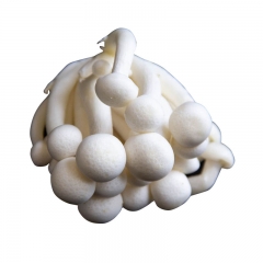 白玉菇140g-160g