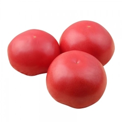 新鲜西红柿460g-500g/份中小果