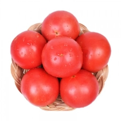 粉西红柿1.8-2.2斤