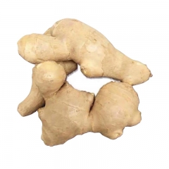 山东水洗风干姜480g-500g