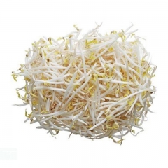 绿豆芽350g±35g