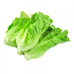 生菜450g-550g