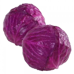 紫甘蓝1.7斤-2.3斤