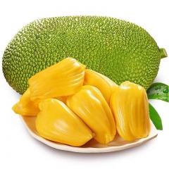 菠萝蜜1.9斤-2.1斤