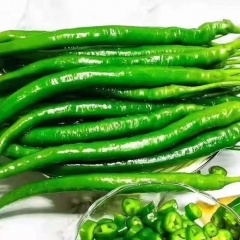 现摘二荆条 450~550g