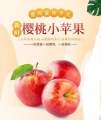 现摘高山樱桃小苹果  1袋480~520g