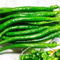 现摘二荆条 450~550g