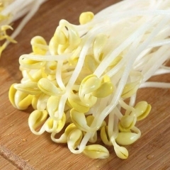 黄豆芽  1袋500g