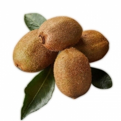 徐香猕猴桃500g±50g