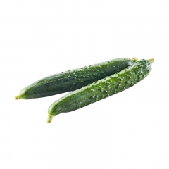精品黄瓜450g-550g/份