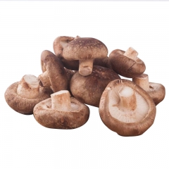 新鲜香菇450g-500g/袋
