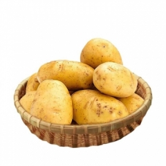 黄心土豆900g-1000g/份