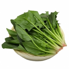 菠菜1000g±20g/份