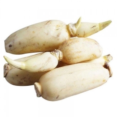莲藕轻微磕碰450-500g/袋