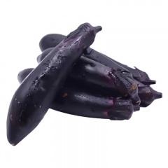 紫长茄子500g±50g/份