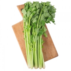 芹菜460g-500g/份