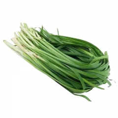 韭菜450g-500g