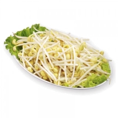 黄豆芽500g±50g/盒