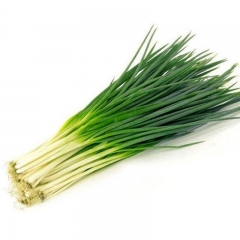小葱460g-500g/盒