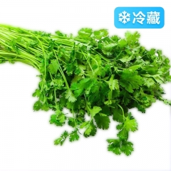 香菜500g±25g
