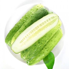 旱黄瓜600g-700g