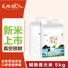 天地粮人甄制大米珍珠米长粒香五常大米团购礼袋 天地粮人碱地香米5kg